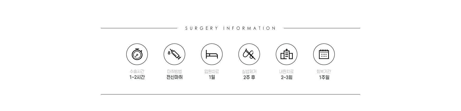 수술정보